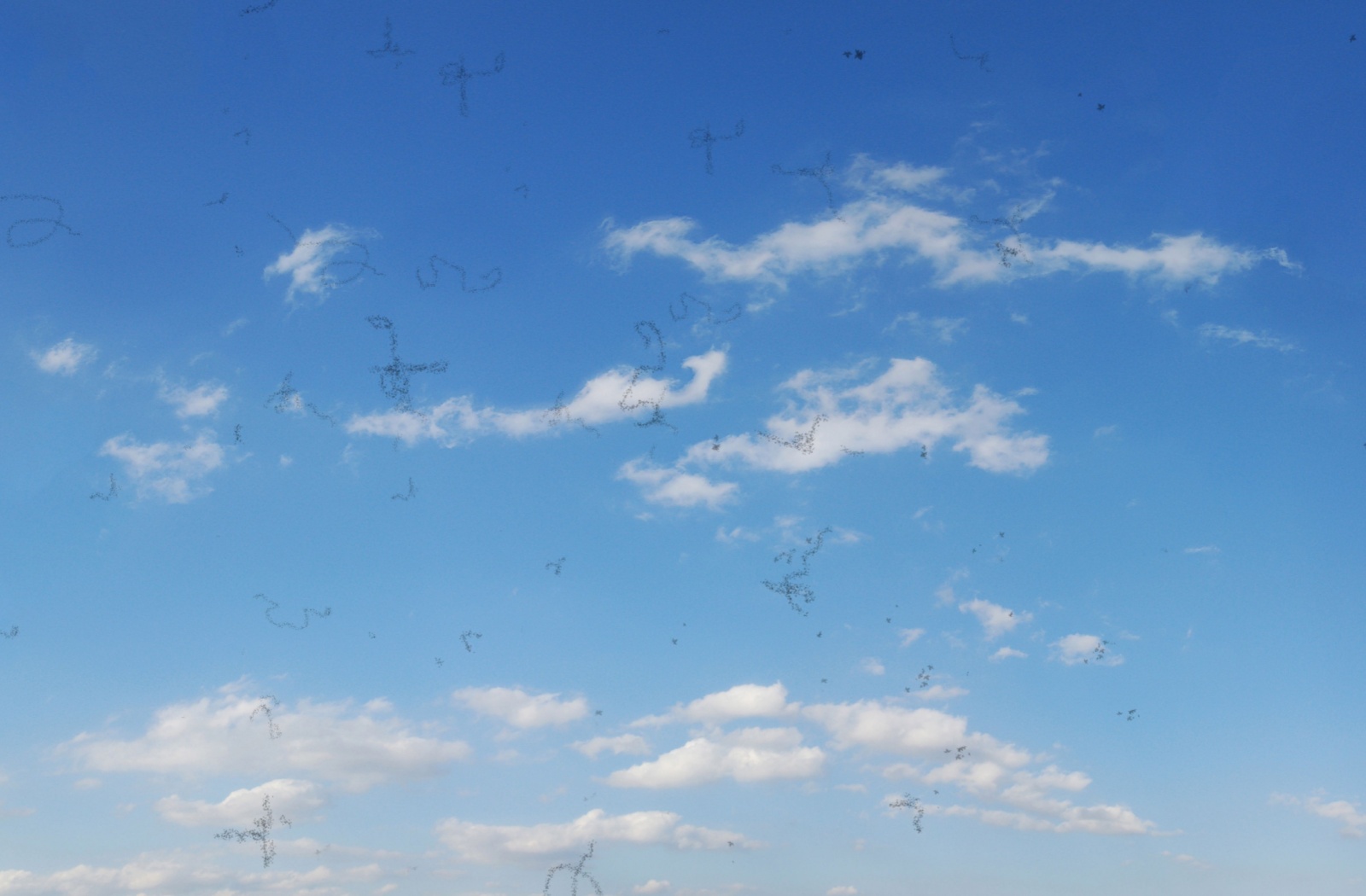 a visual simulation of eye floaters against a backdrop of blue sky