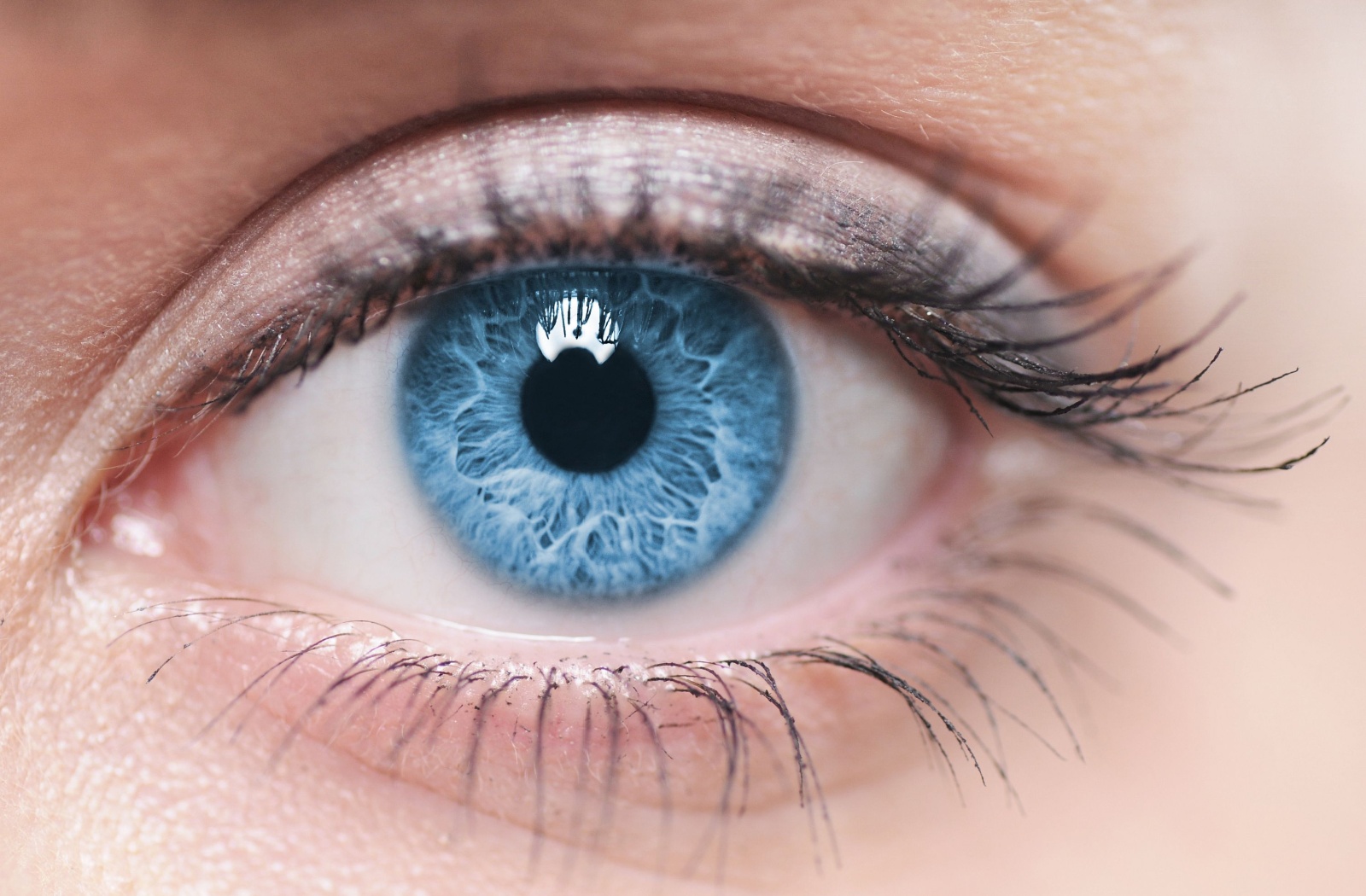 Close-up of a blue eye showing sensitivity to light, with natural details of the iris and pupil.